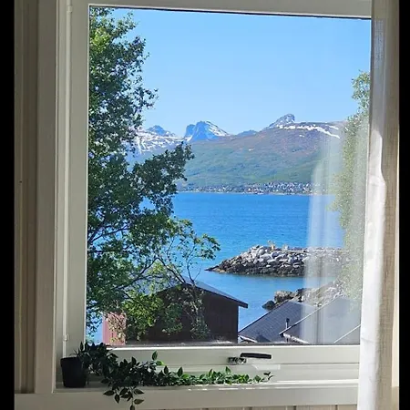 Tatil Evi Cozy House In - Near Center, Ideal For Families & Groups