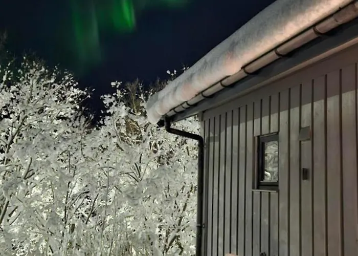 Koselig Hus Med Sentral Beliggenhet I Tromso Tatil Evi Tromsø